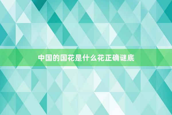 中国的国花是什么花正确谜底