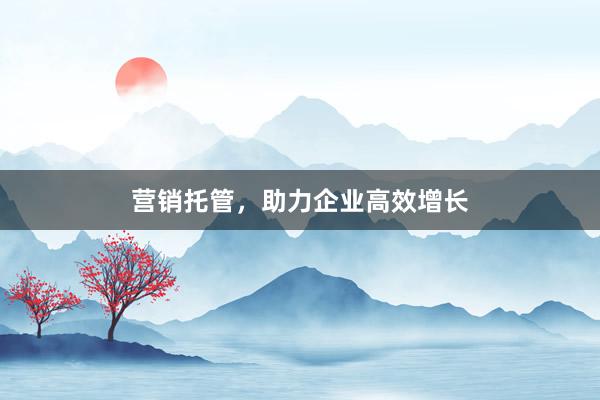 营销托管，助力企业高效增长